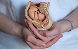 prenatal education