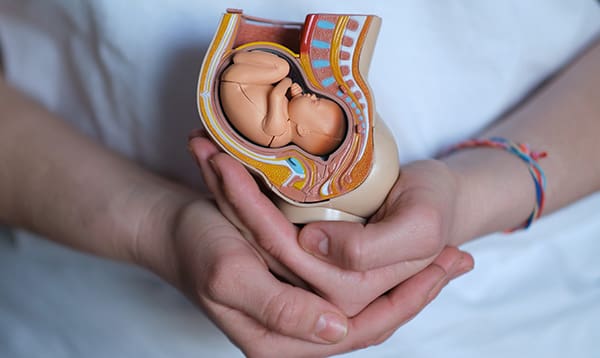 prenatal education