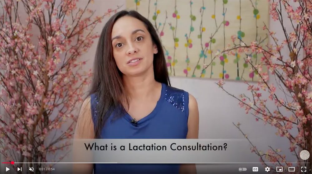 What is a Lactation Consultation - Video from BFSuccess.com