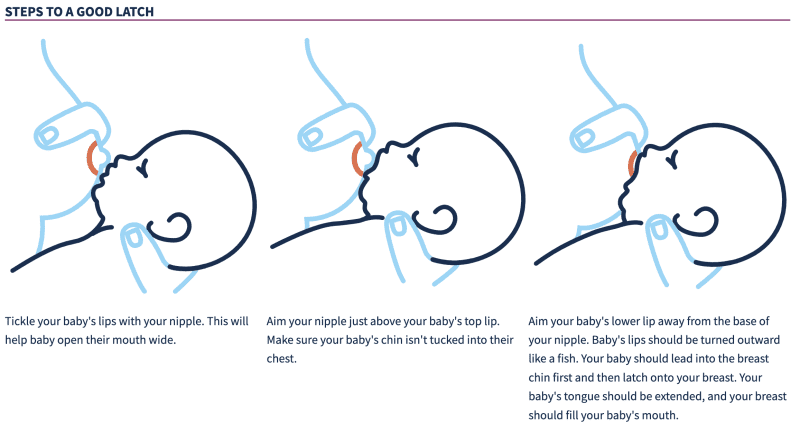 breastfeeding latch diagram from WIC